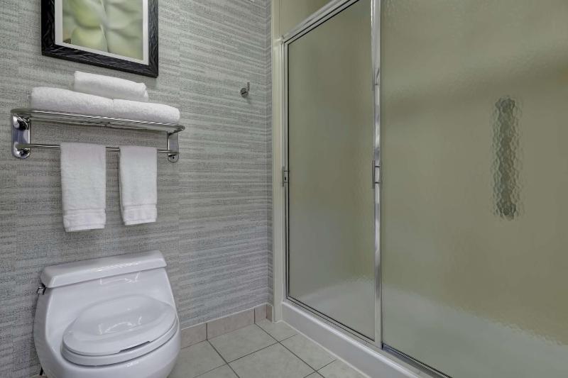 King Studio Suite - Non-Smoking image 2