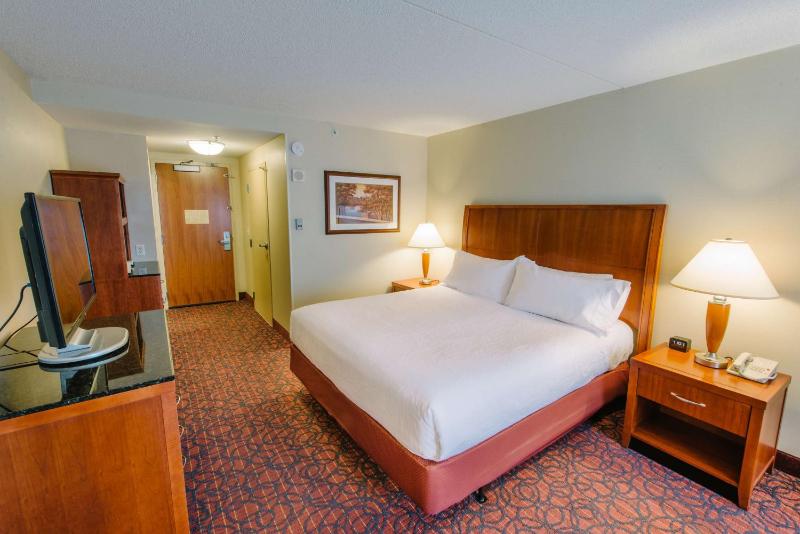 One-Bedroom King Suite image 4