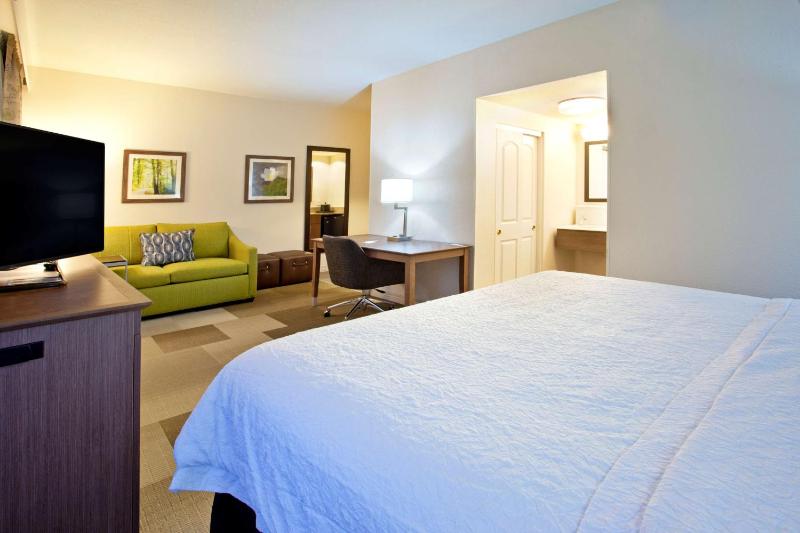 King Studio Suite with Sofa Bed - Non-Smoking image 4