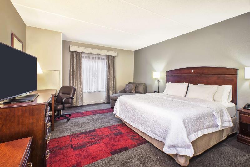 King Room with Accessible Tub - Mobility and Hearing Access/Non-Smoking image 3