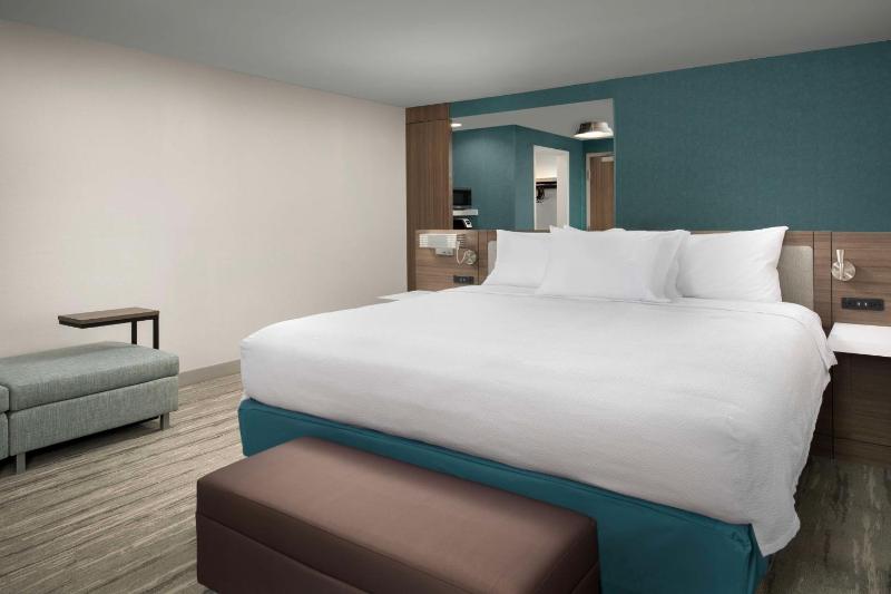 Deluxe King Room image 1
