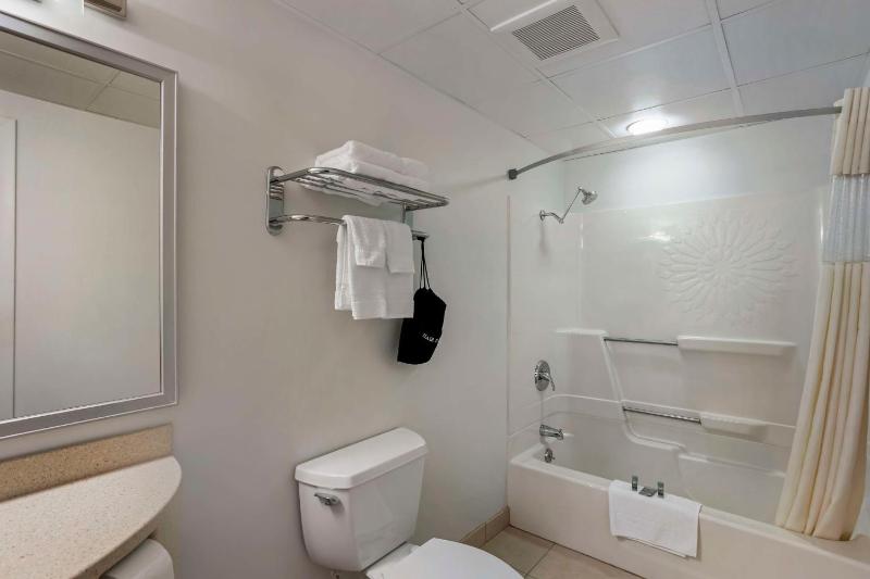 King Room with Mobility Accessible Tub and Sofa Bed image 2