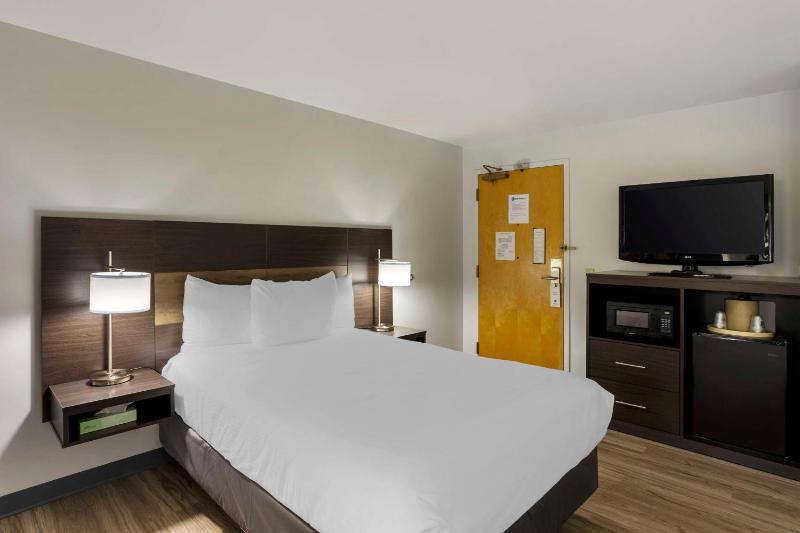 Double Room with Two Double Beds and Roll-In Shower - Disability Access image 3