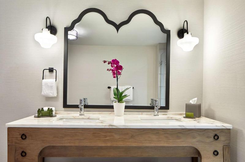 King Studio Suite image 2