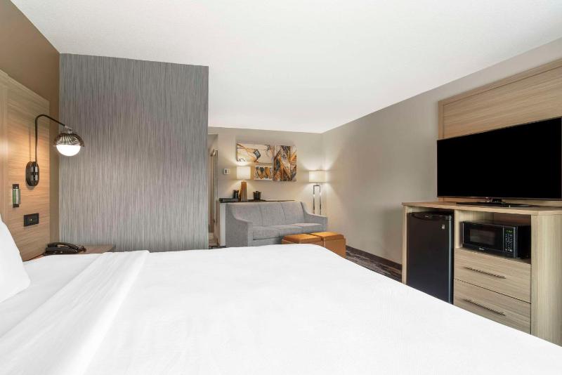 King Suite with Private Bathroom - Non-Smoking image 3