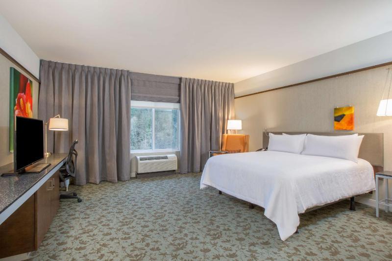 King Room with Roll-In Shower - Mobility Access image 4