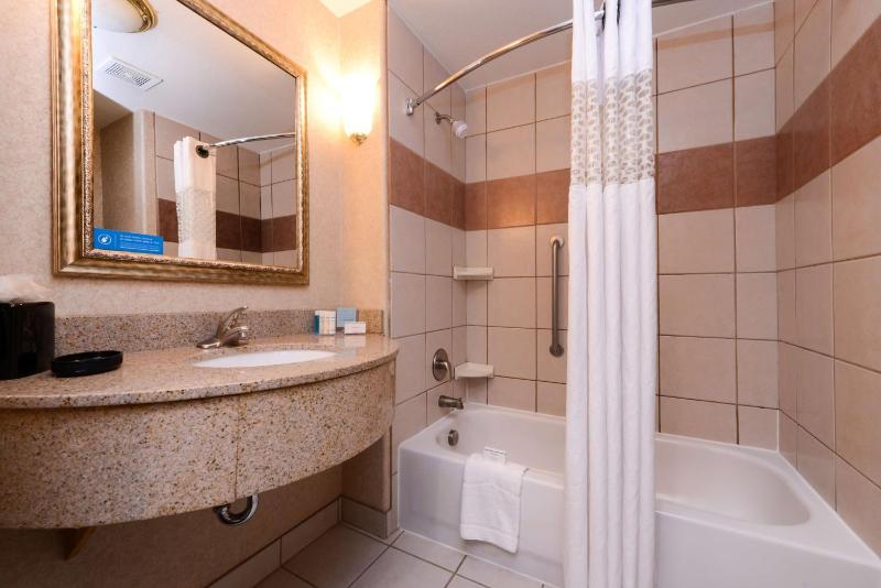 King Studio Suite - Mobility Access/Non-Smoking image 3