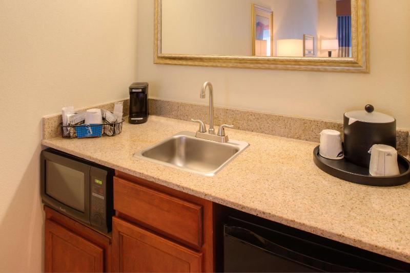 King Studio Suite - Non-Smoking image 4