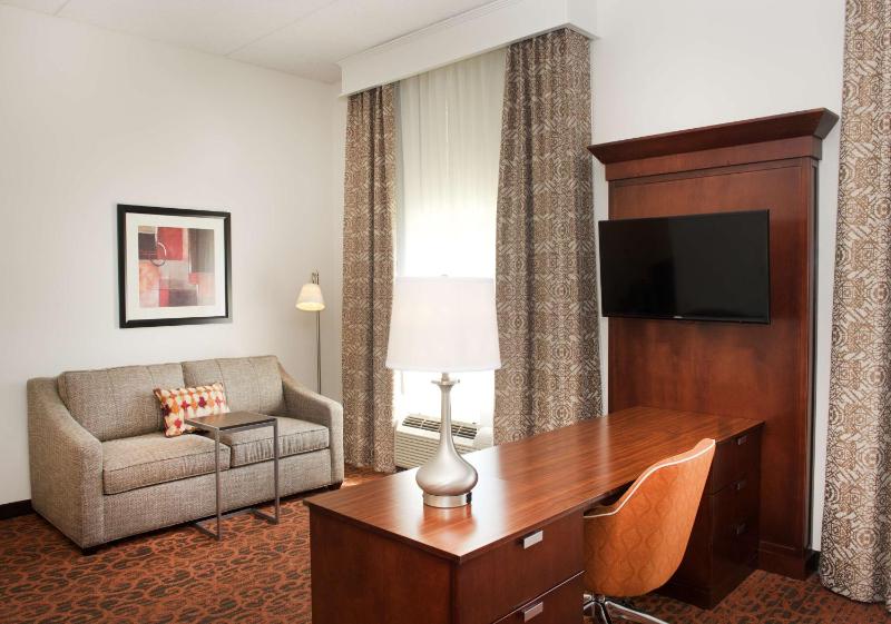 King Studio Suite - Non-Smoking image 3