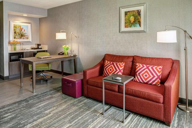 King Studio Suite with Sofa Bed - Non-Smoking image 3