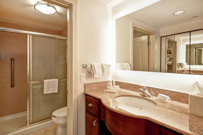 King Studio Suite - Non-Smoking image 2