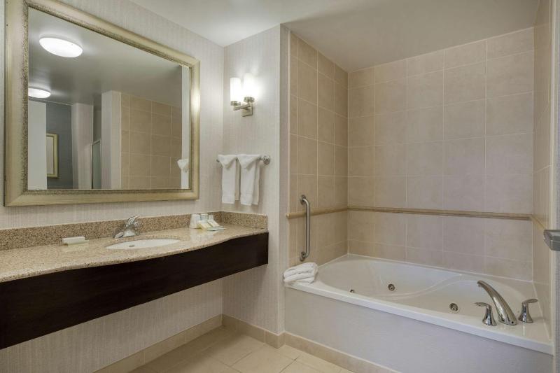 One-Bedroom King Suite image 4
