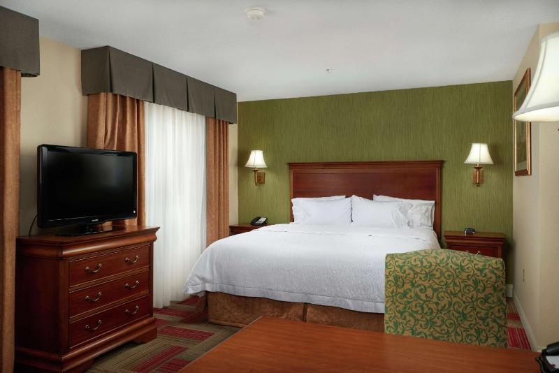 King Studio Suite with Sofa Bed - Non-Smoking image 1