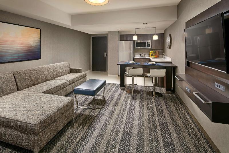 Essential King Studio Suite  image 4