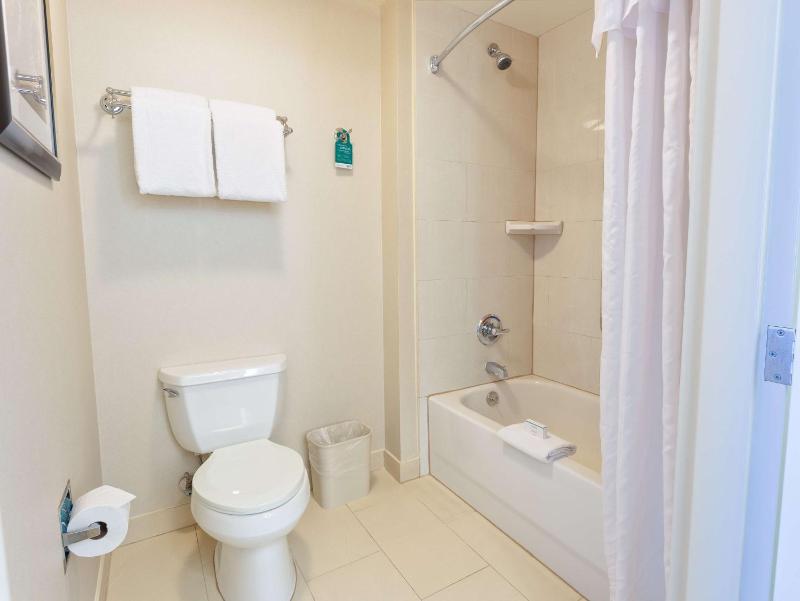 Premium One-Bedroom King Suite - Non-Smoking image 2