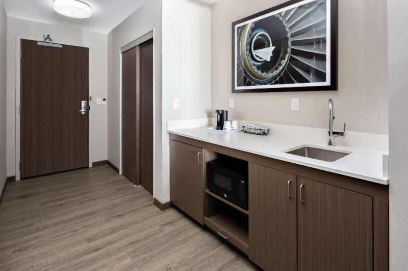King Studio Suite image 4