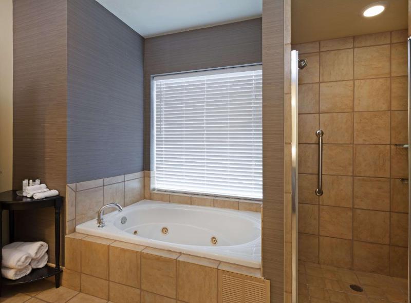 One-Bedroom King Suite with Fireplace - Non-Smoking  image 2