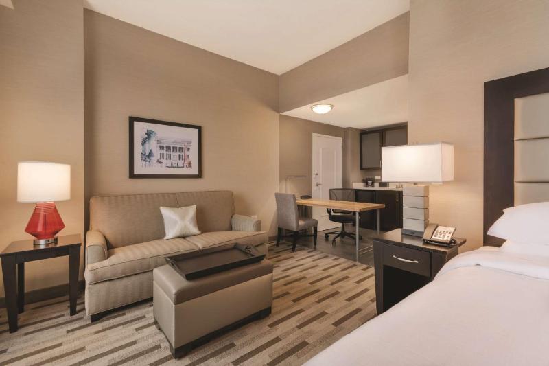 King Studio Suite image 3