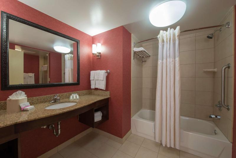 One-Bedroom King Suite image 2