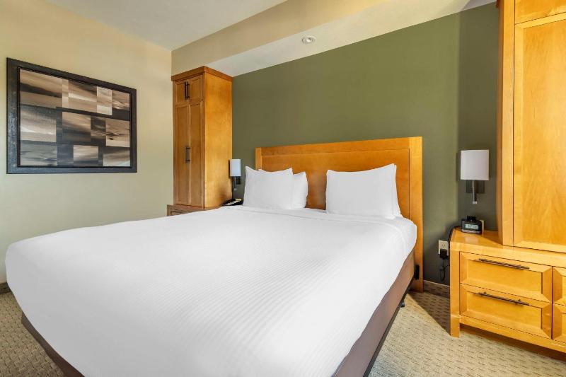 1 BEDROOM 1 KING DELUXE SUITE WITH SOFABED image 1