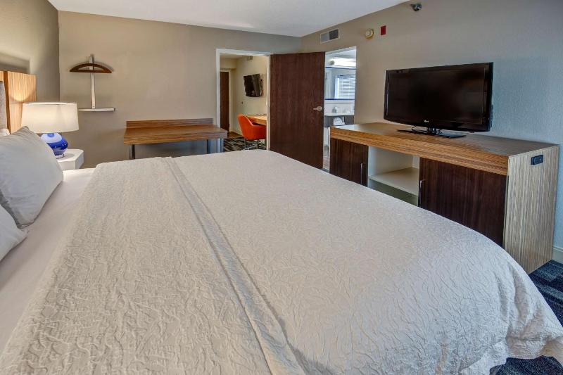 One-Bedroom King Suite - Non-Smoking image 4