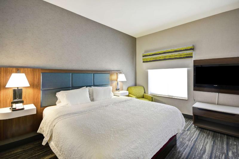 King Studio Suite with Sofa Bed - Non-Smoking image 3