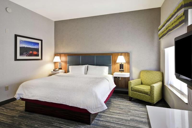 King Studio Suite with Sofa Bed - Non-Smoking image 2