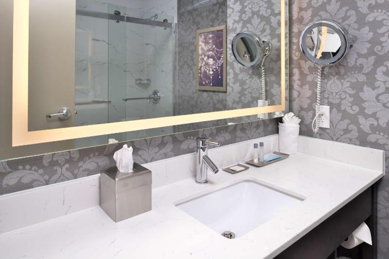 King Studio Suite image 2