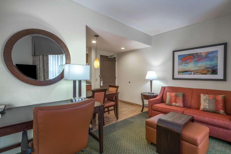 King Studio Suite - Non-Smoking image 4