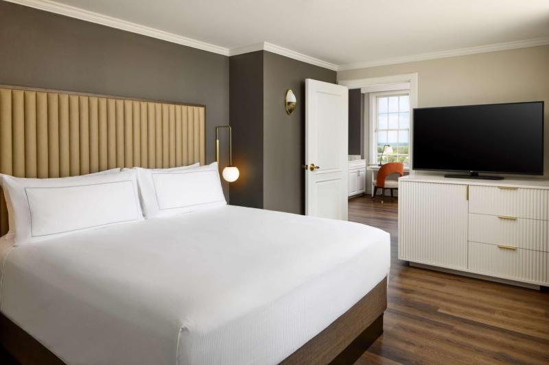 One-Bedroom King Suite with Lake View image 4