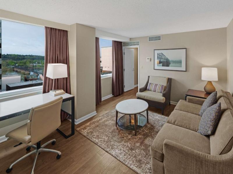 Mini King Suite image 3