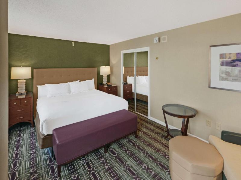 Mini King Suite image 4