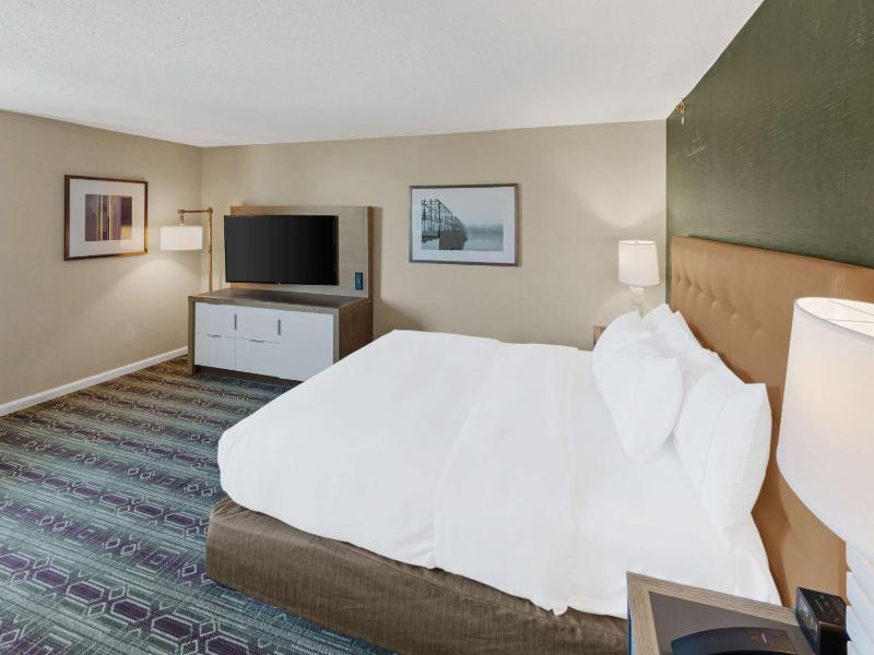 Deluxe King Room with Sofa Bed image 3