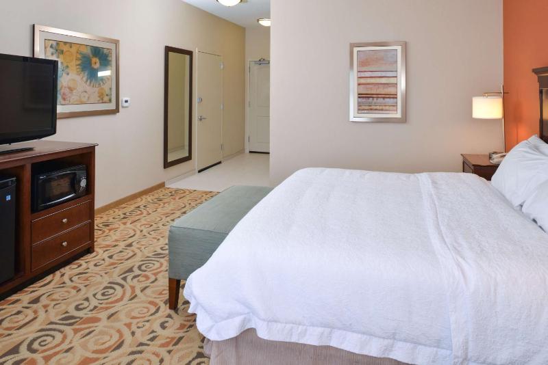 King Room with Accessible Tub - Mobility and Hearing Access/Non-Smoking image 4
