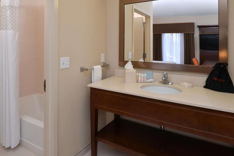 King Studio Suite - Non-Smoking image 2