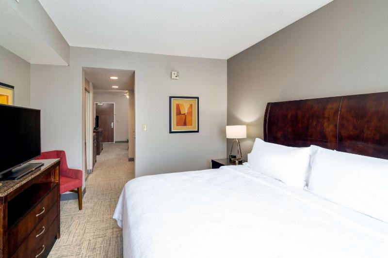 One-Bedroom King Suite image 3