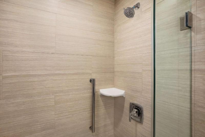 King Studio Suite image 2