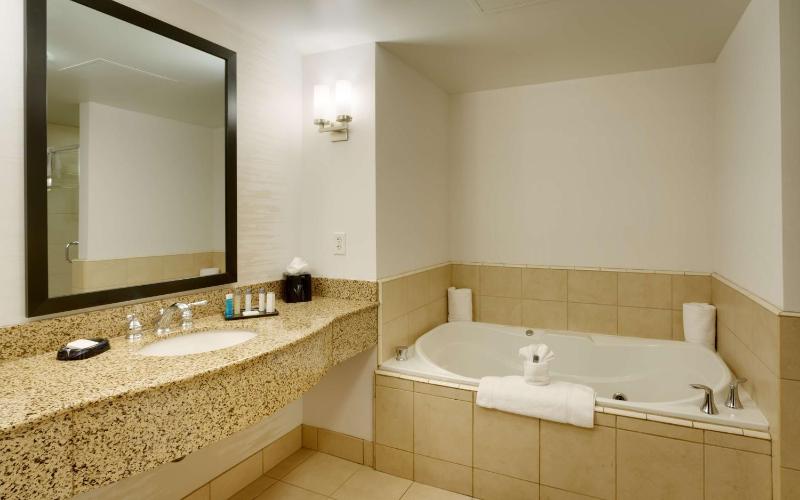 Deluxe King Suite image 2