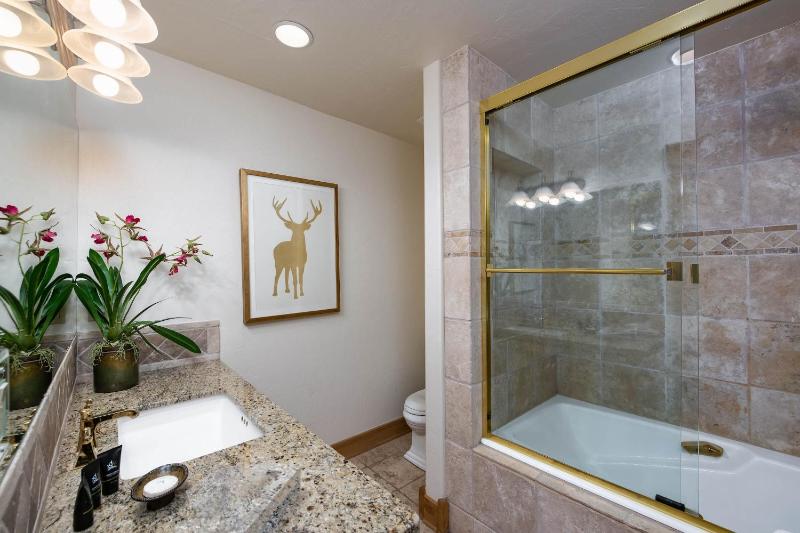 Silverview at Highlands Home: Mountain Luxury - image 4