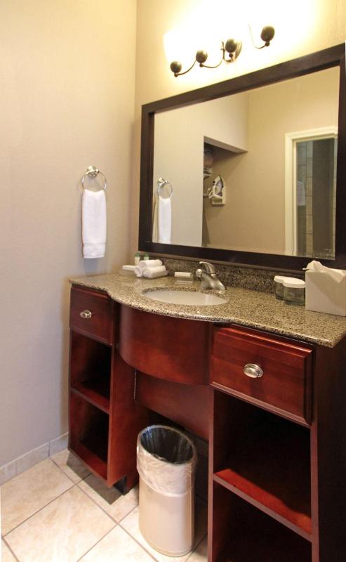 One-Bedroom King Suite - Non-Smoking image 2