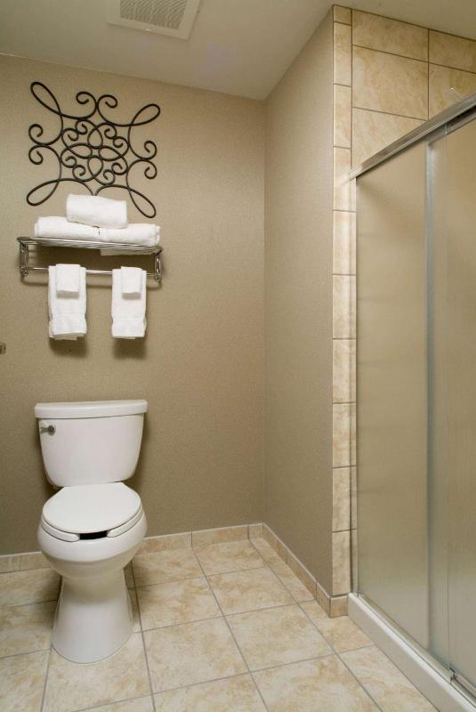 One-Bedroom King Suite - Non-Smoking image 3