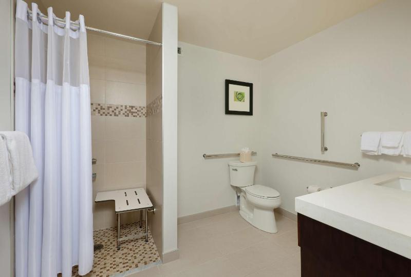 King Room with Roll-In Shower - Mobility Access image 4
