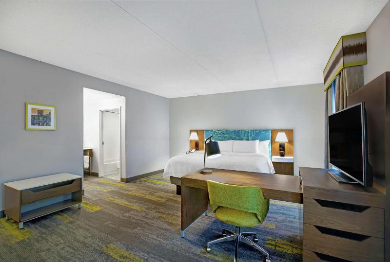King Studio Suite with Sofa Bed - Non-Smoking image 4
