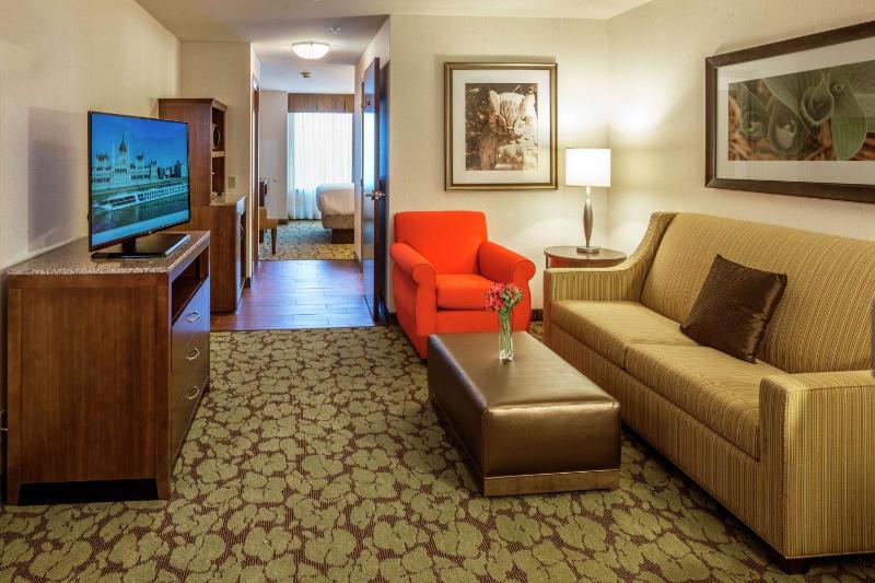 One-Bedroom King Suite image 2