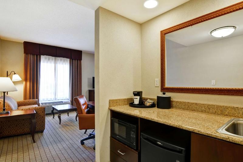 King Studio Suite - Non-Smoking image 3
