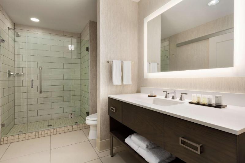 King Studio Suite image 2