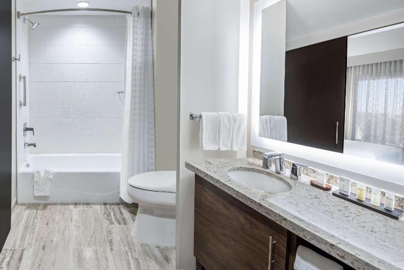 Premium King Studio Suite image 4