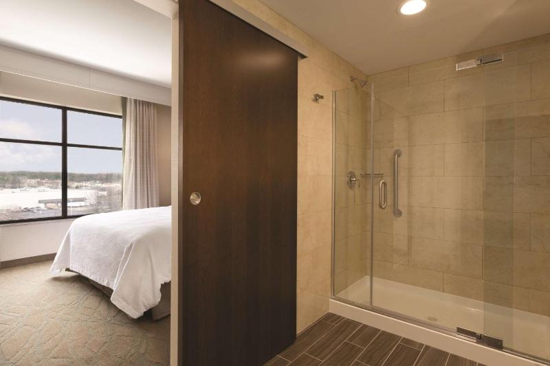 King Studio Suite image 3
