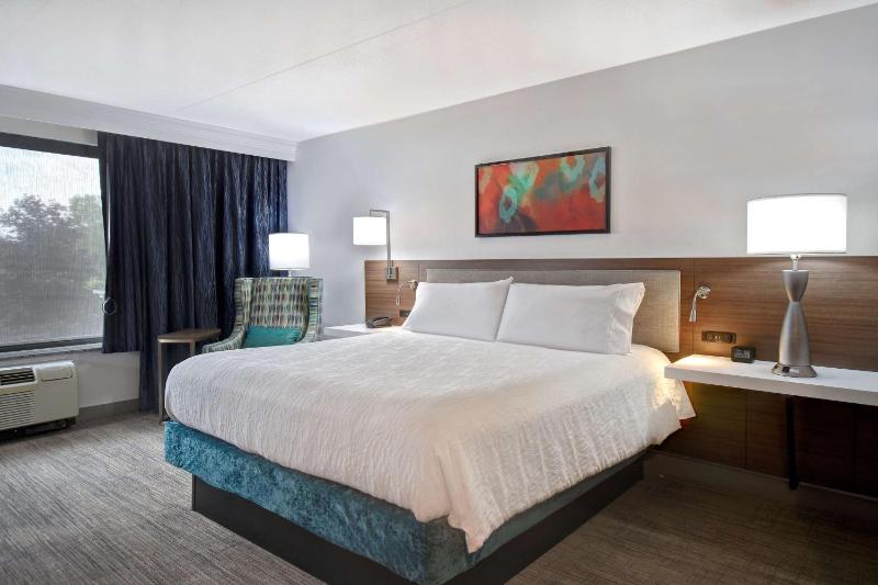King Room with Accessible Tub - Mobility Access image 1