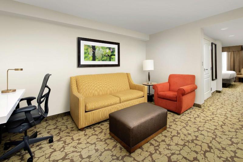 Junior King Suite with Sofa Bed image 1